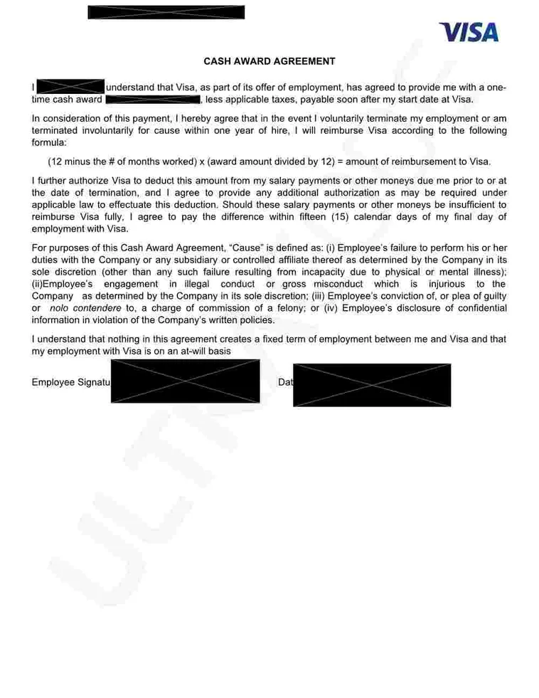 VISA offer letter earned with ULTRACODE (preview)